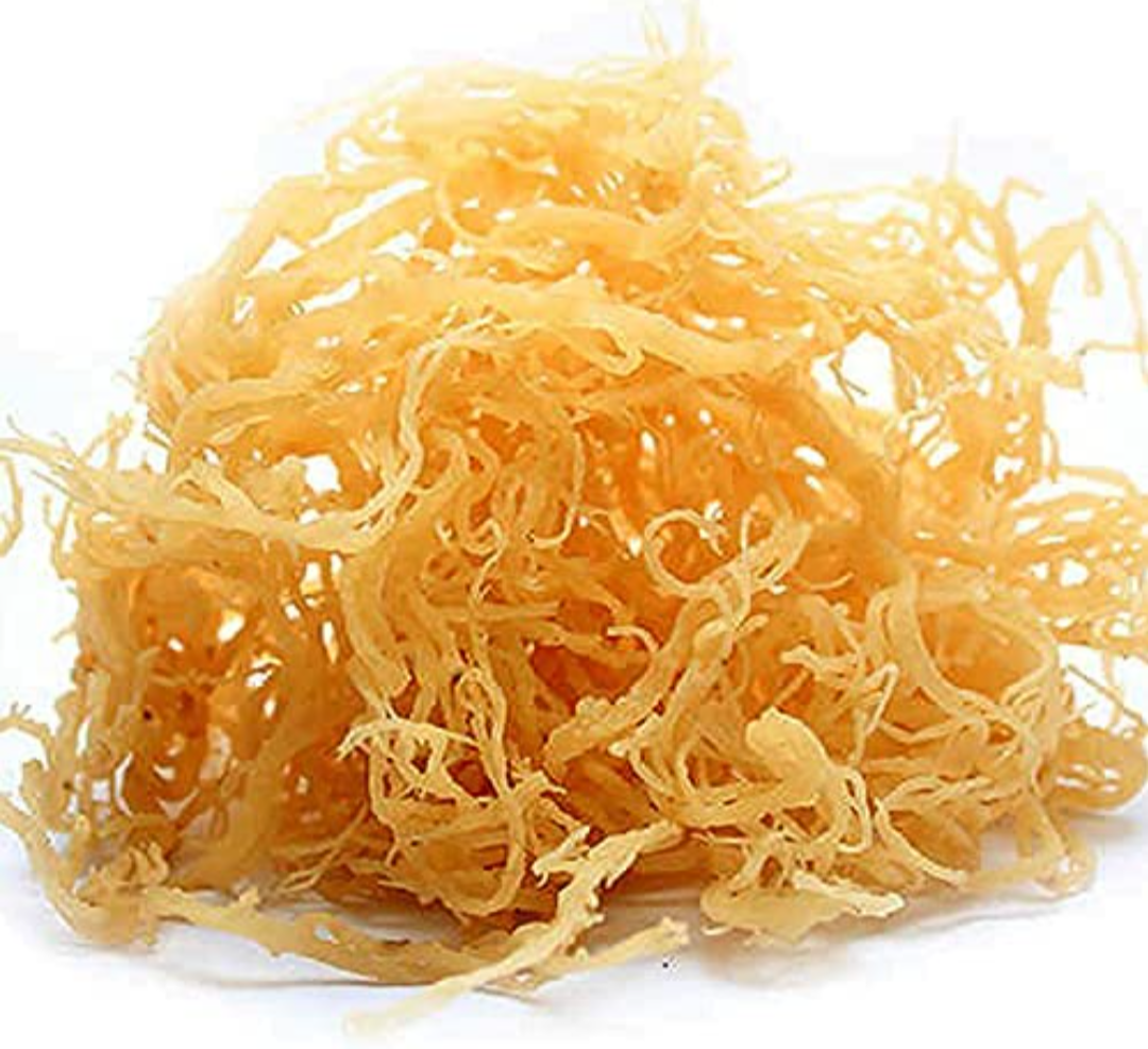 Gold Raw Sea Moss Wildcrafted Sundried